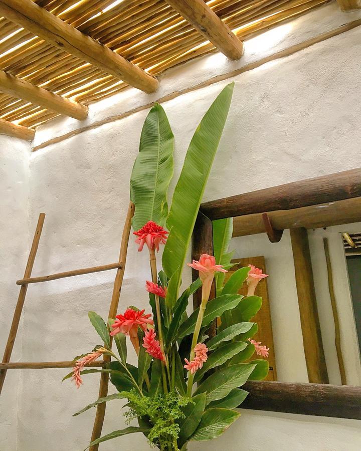 Vivertrancoso Hotel Exterior photo